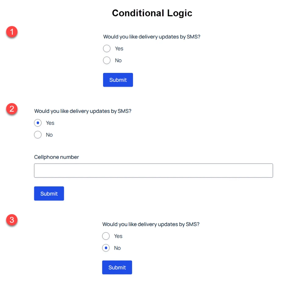 a form made with conditional logic (made using Gravity Forms)